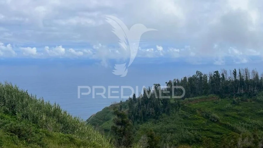 Terreno para Venda em Ponta do Pargo