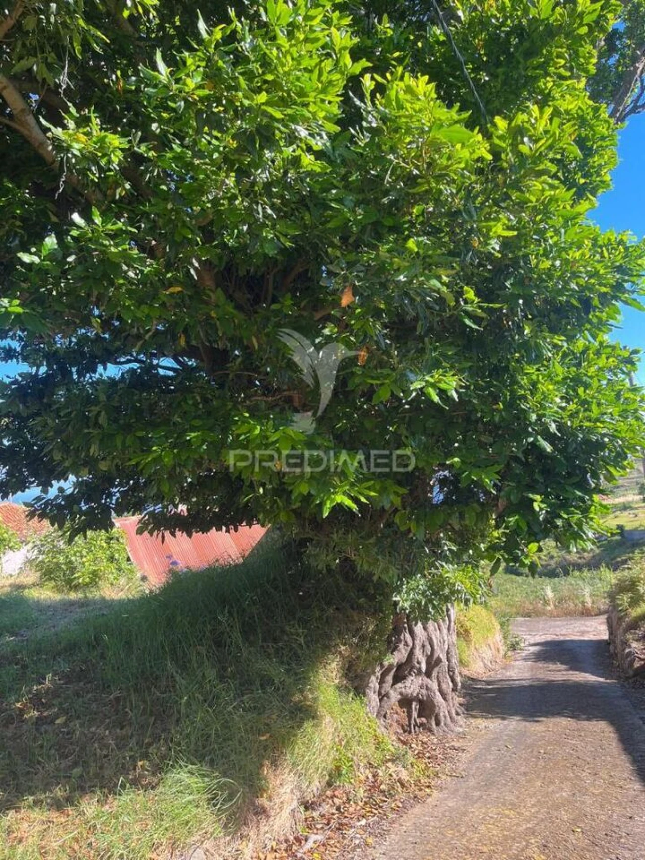 Moradia T2 para Venda em Ponta do Pargo Foto 10