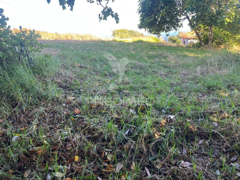 Moradia T2 para Venda em Ponta do Pargo Foto 5