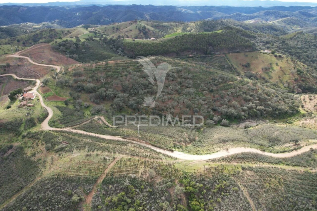 Moradia T5 para Venda em Santana da Serra Foto 8