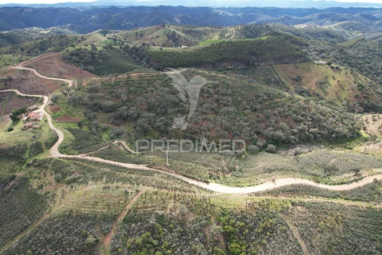 Moradia T5 para Venda em Santana da Serra Foto 8