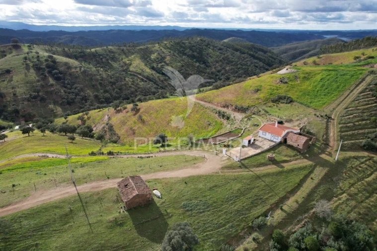 Moradia T5 para Venda em Santana da Serra Foto 10