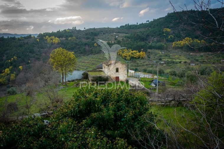 Moradia T6 para Venda em Longa Foto 10