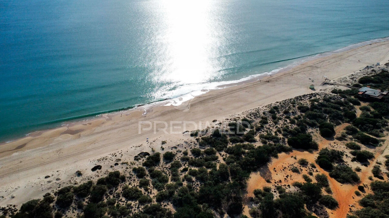 Terreno para Venda em Altura Foto 10