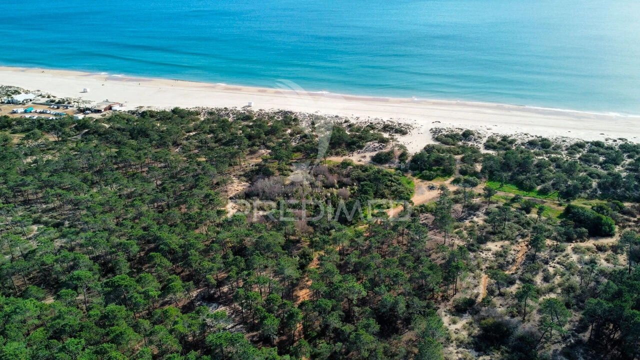 Terreno para Venda em Altura Foto 12