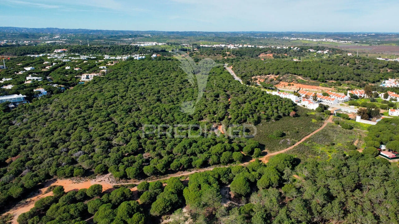 Terreno para Venda em Altura Foto 9