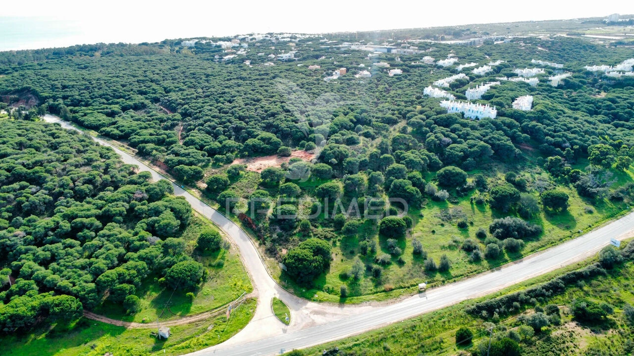 Terreno para Venda em Altura Foto 17