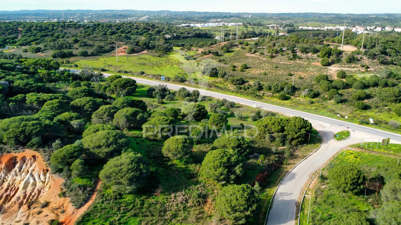 Terreno para Venda em Altura Foto 15