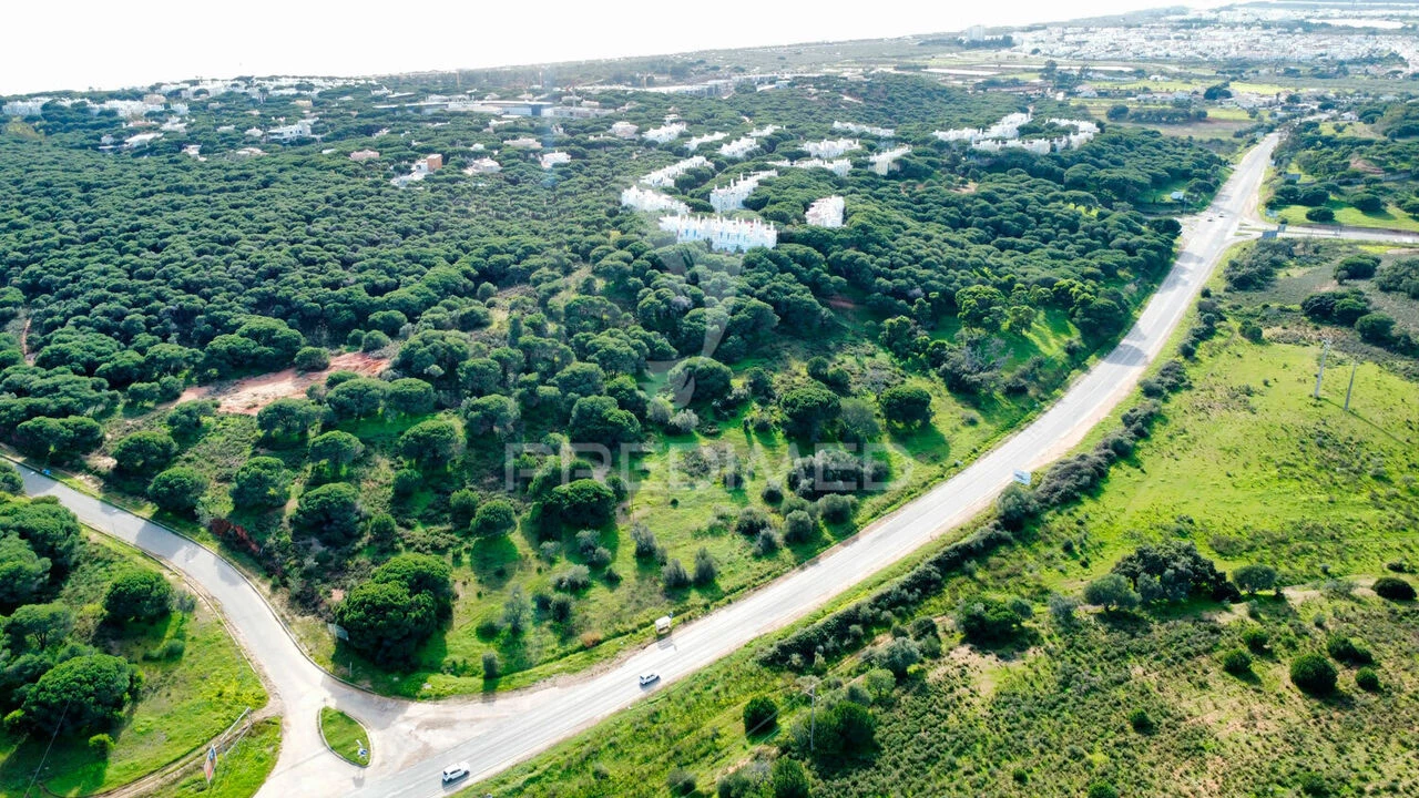 Terreno para Venda em Altura Foto 14