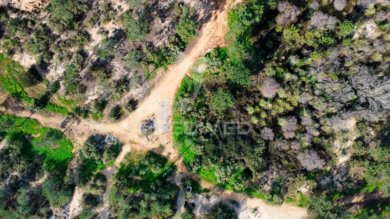 Terreno para Venda em Altura Foto 7