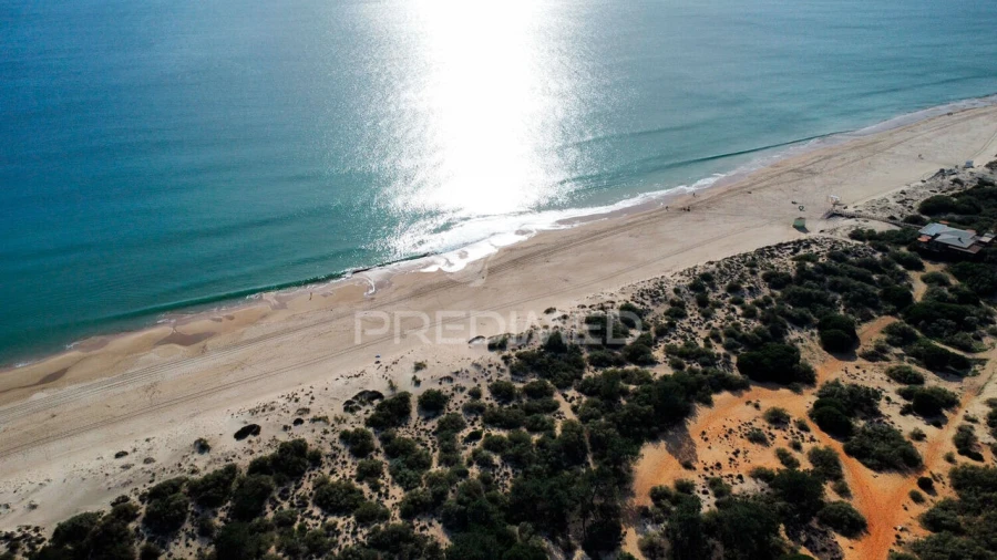 Terreno para Venda em Altura Foto 10