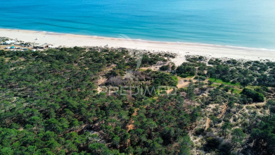 Terreno para Venda em Altura Foto 12