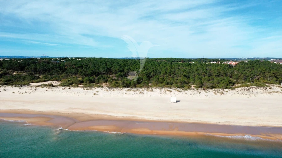 Terreno para Venda em Altura Foto 5