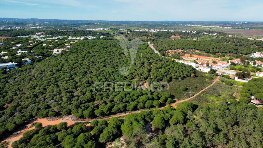 Terreno para Venda em Altura Foto 9