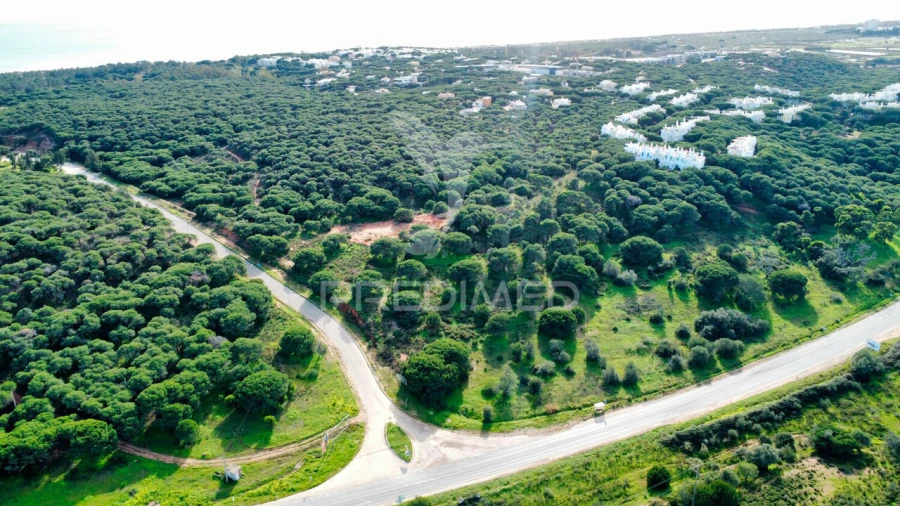 Terreno para Venda em Altura Foto 17