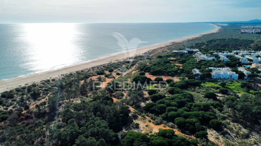 Terreno para Venda em Altura Foto 11