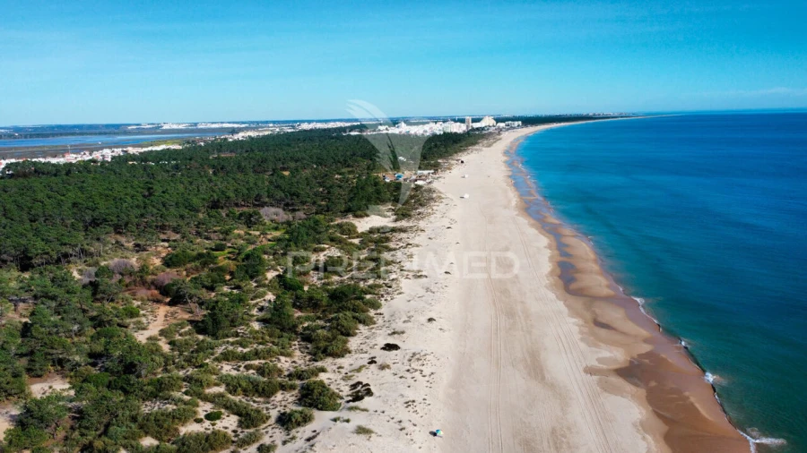 Terreno para Venda em Altura Foto 3