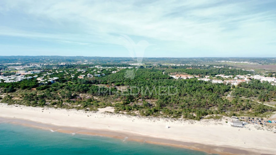 Terreno para Venda em Altura Foto 4
