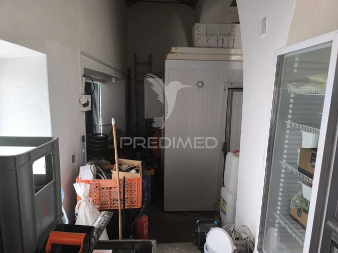 Prédio para Venda em Alcantarilha e Pêra Foto 21