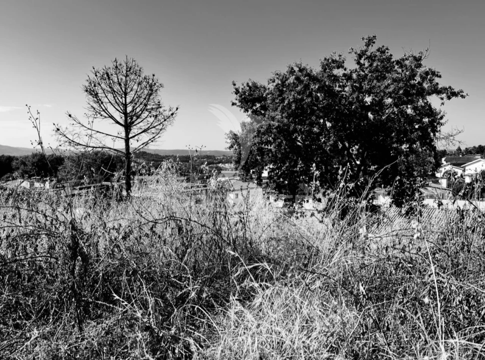 Terreno para Venda em Gavião Foto 7