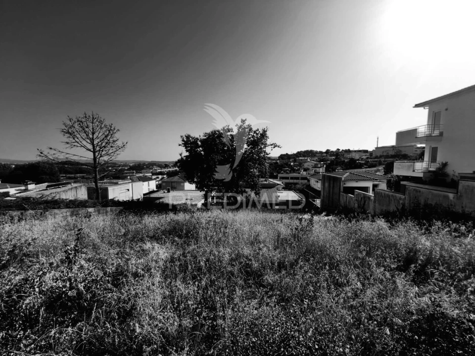 Terreno para Venda em Gavião Foto 5