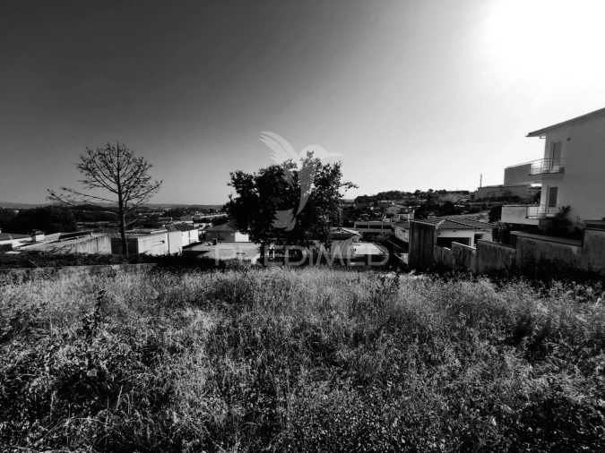Terreno para Venda em Gavião Foto 5