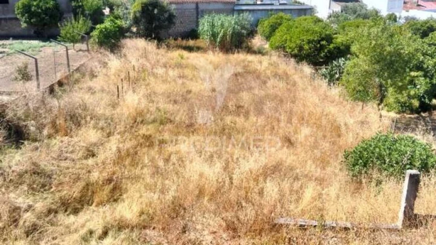 Terreno para Venda em Alcanhões