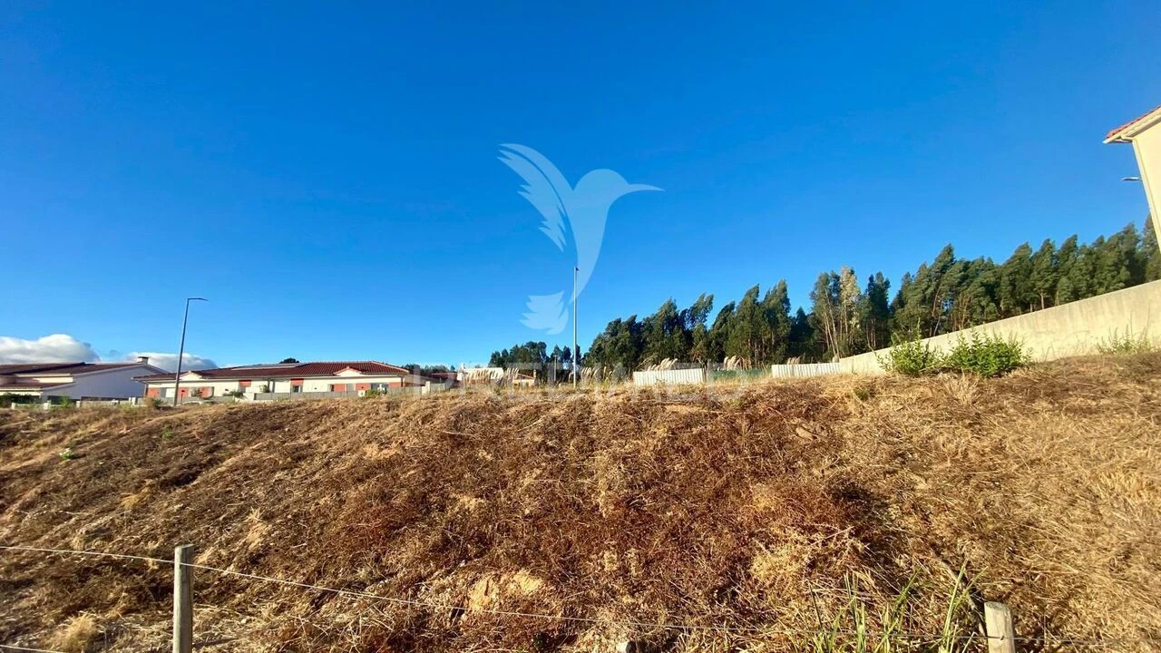 Terreno para Venda em Rio Maior Foto 2