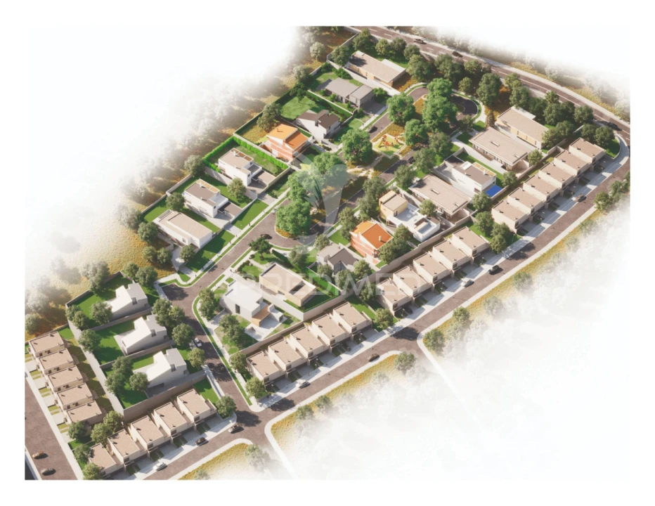 Terreno para Venda em Palmeira Foto 14