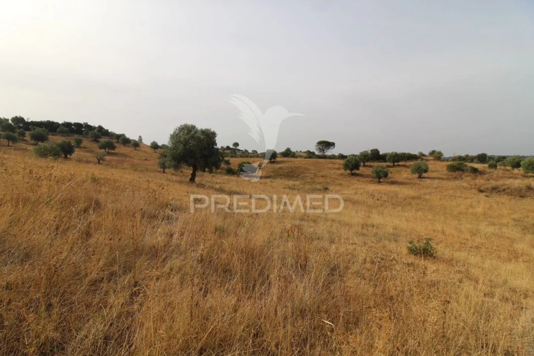 Terreno para Venda em Bugalhos Foto 10