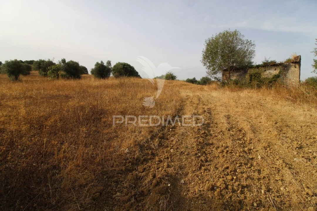 Terreno para Venda em Bugalhos Foto 7