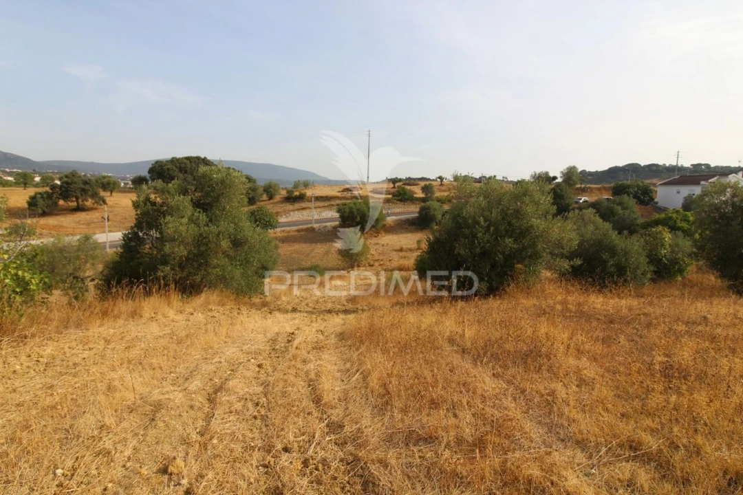 Terreno para Venda em Bugalhos Foto 2