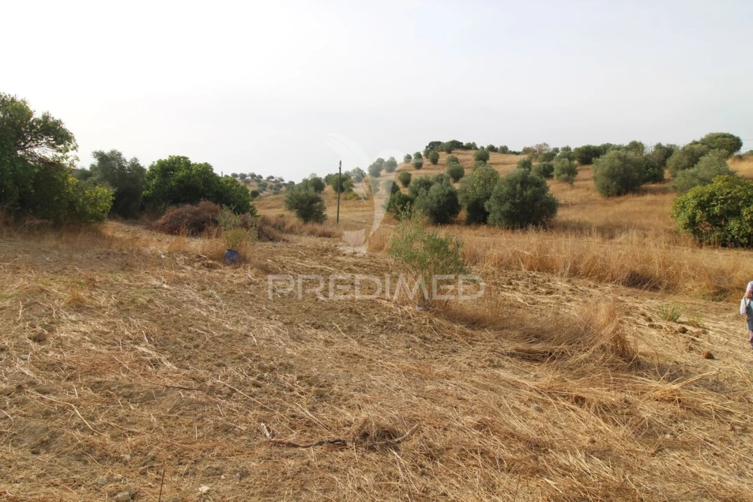 Terreno para Venda em Bugalhos Foto 5