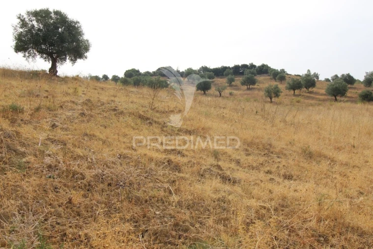 Terreno para Venda em Bugalhos Foto 12