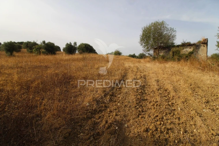 Terreno para Venda em Bugalhos Foto 7
