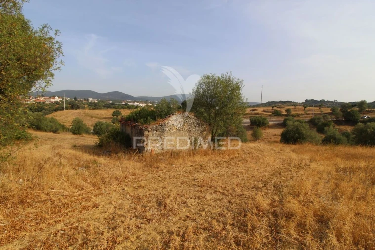 Terreno para Venda em Bugalhos Foto 8