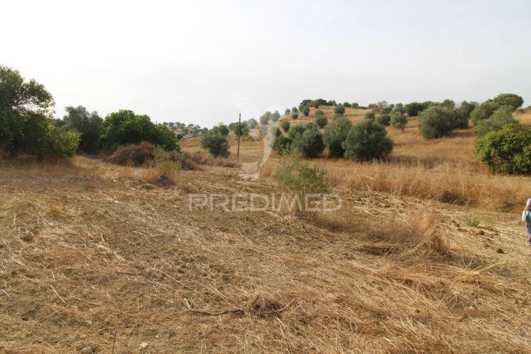 Terreno para Venda em Bugalhos Foto 5
