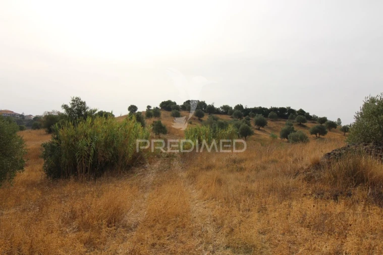 Terreno para Venda em Bugalhos Foto 13