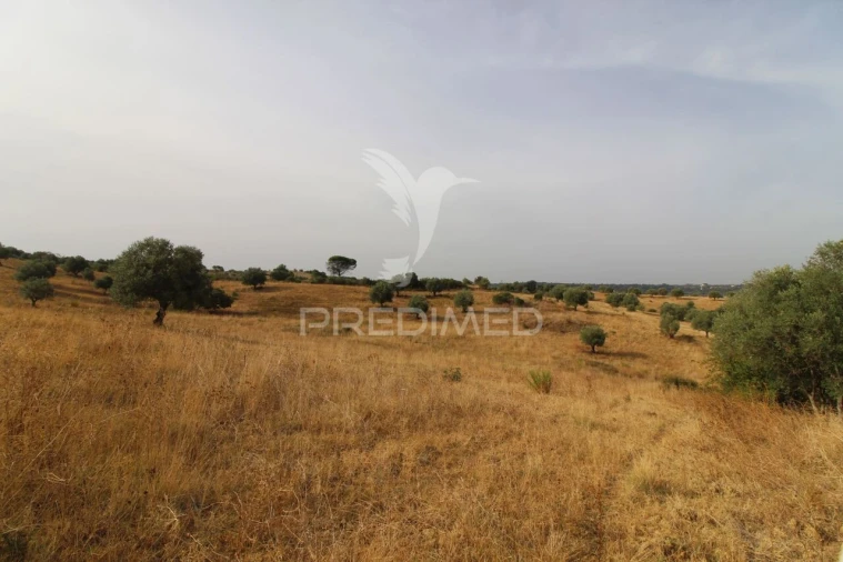 Terreno para Venda em Bugalhos Foto 9