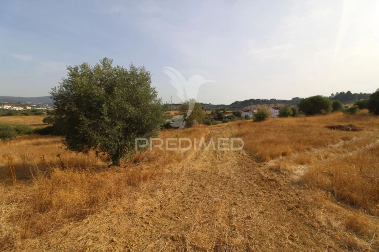 Terreno para Venda em Bugalhos Foto 4