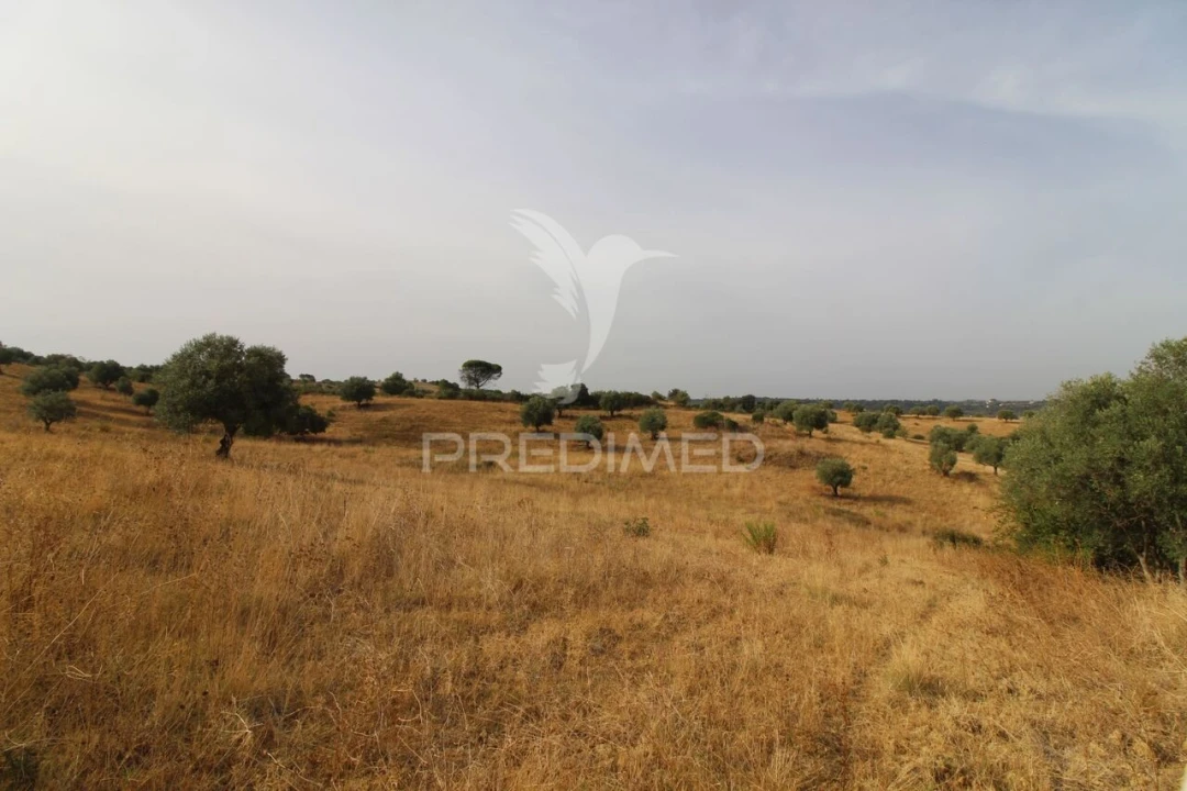 Terreno para Venda em Bugalhos Foto 9