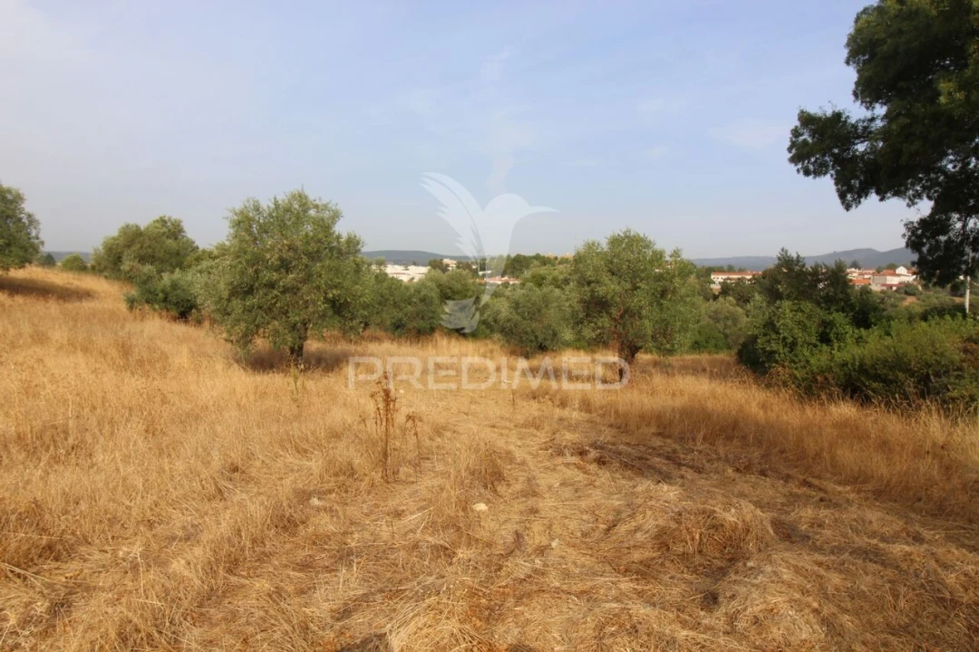 Terreno para Venda em Bugalhos Foto 3