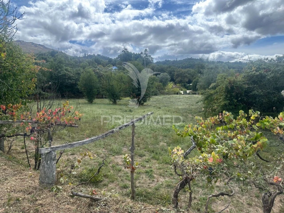 Terreno para Venda em Arca e Ponte de Lima Foto 2