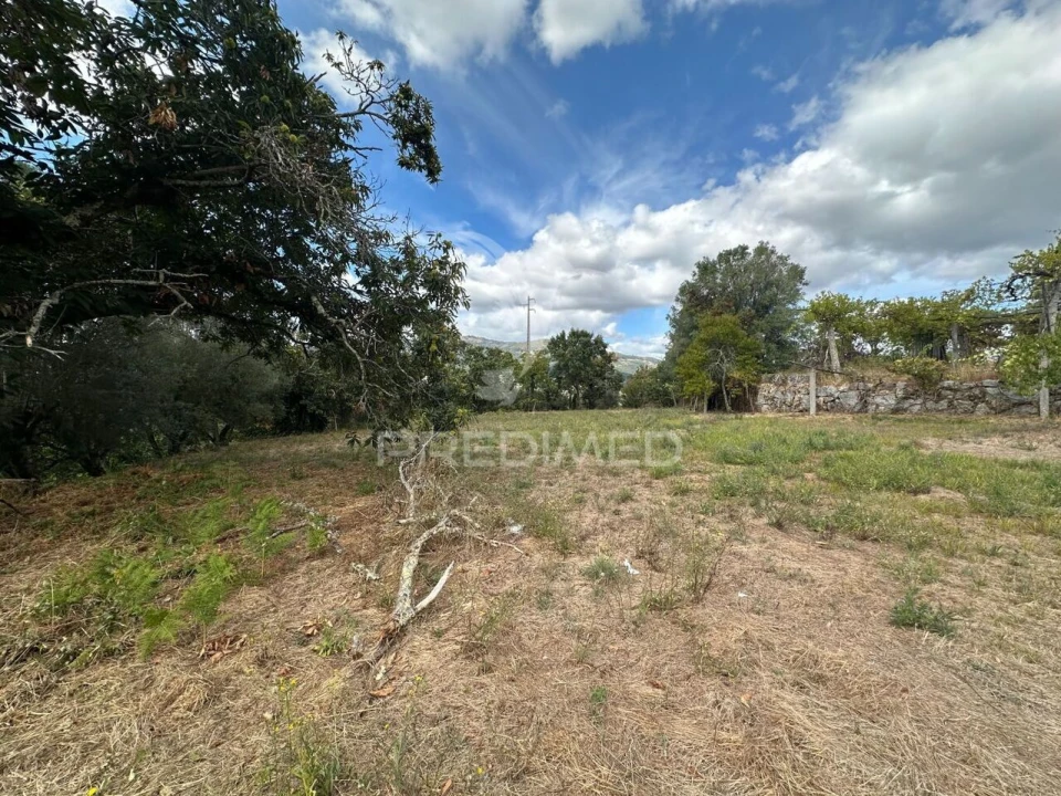 Terreno para Venda em Arca e Ponte de Lima Foto 3
