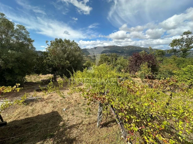 Terreno para Venda em Arca e Ponte de Lima