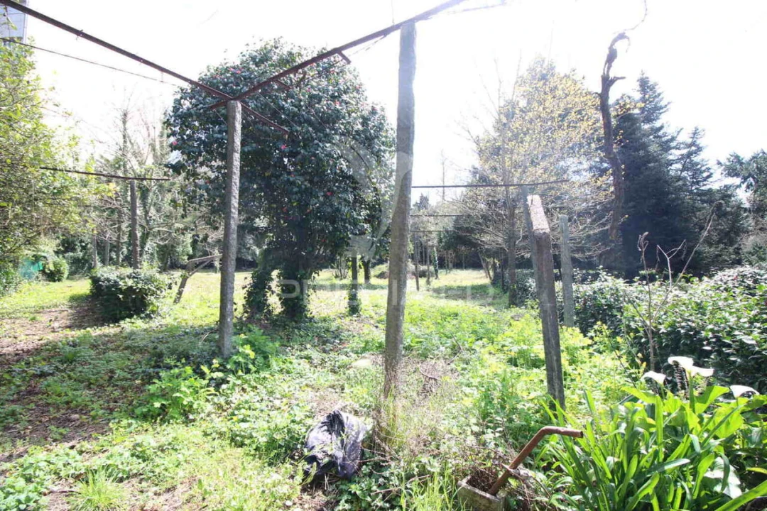 Terreno para Venda em Creixomil Foto 23