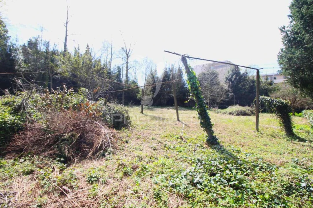 Terreno para Venda em Creixomil Foto 25