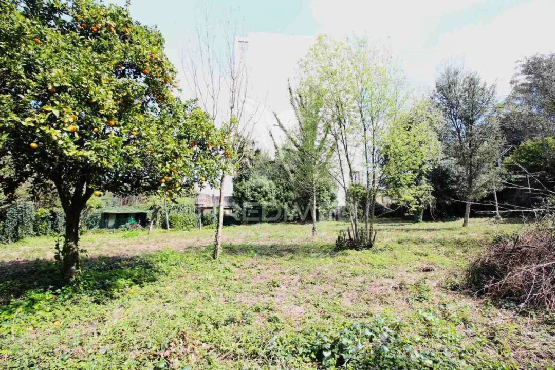 Terreno para Venda em Creixomil Foto 26