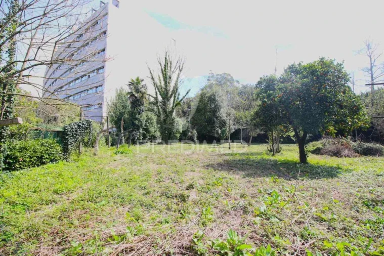 Terreno para Venda em Creixomil Foto 24