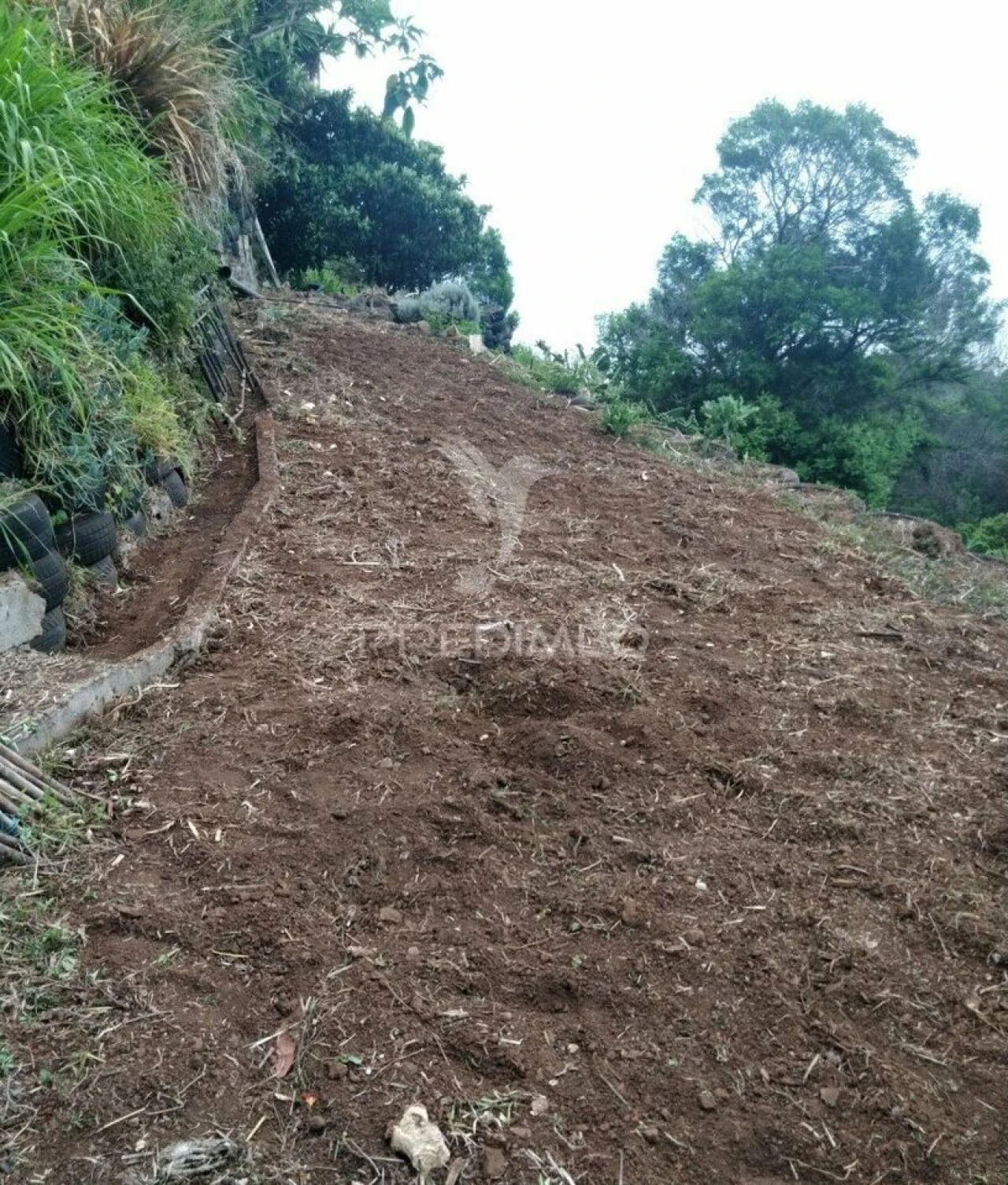 Terreno para Venda em Agua de Pena Foto 1